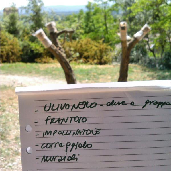 lulivo-opera-pubbloca